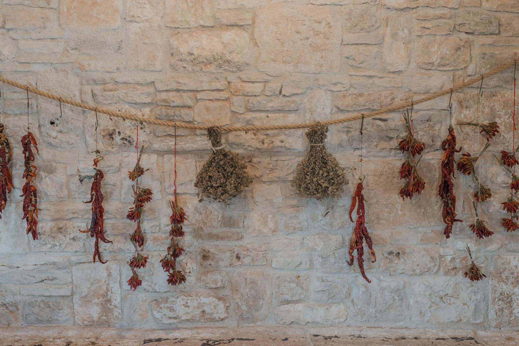 Tenuta Tedone Consolini Villa Ruvo di Puglia Luaran gambar