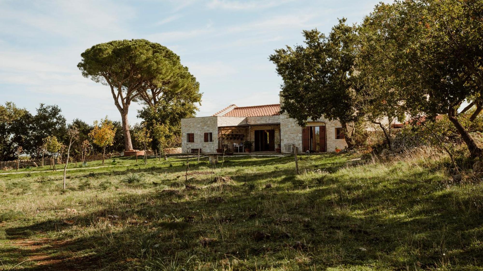 Tenuta Tedone Consolini Villa Ruvo di Puglia Luaran gambar