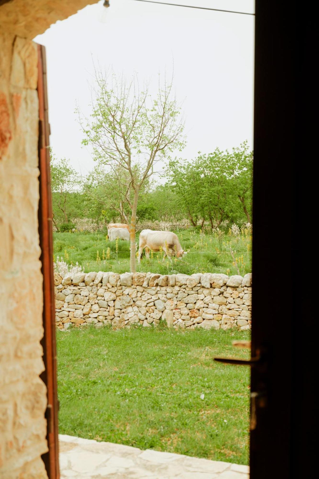 Tenuta Tedone Consolini Villa Ruvo di Puglia Luaran gambar