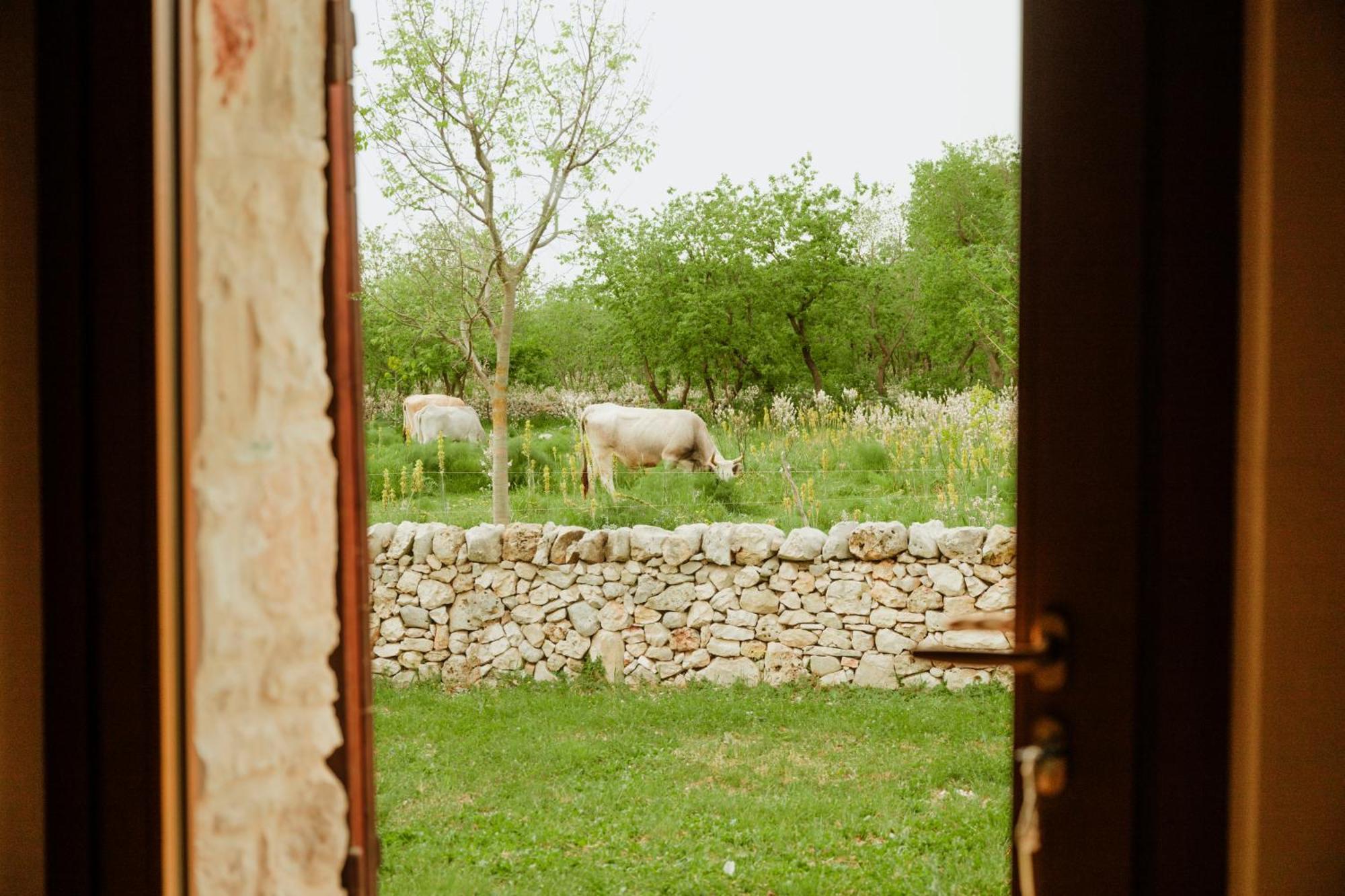 Tenuta Tedone Consolini Villa Ruvo di Puglia Luaran gambar