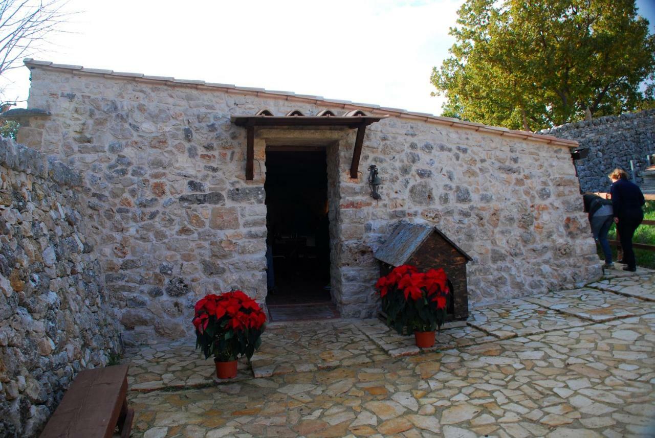 Tenuta Tedone Consolini Villa Ruvo di Puglia Luaran gambar