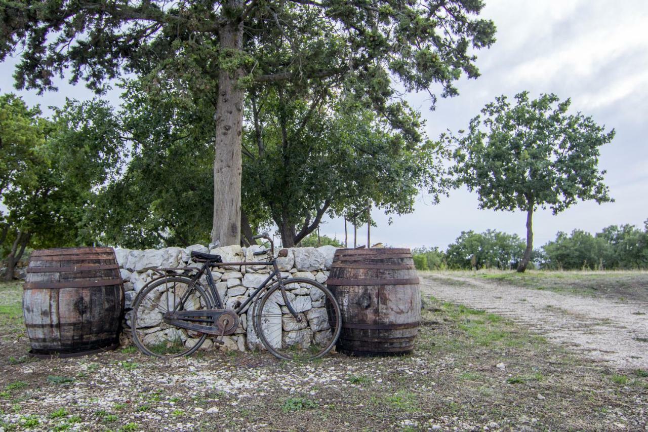 Tenuta Tedone Consolini Villa Ruvo di Puglia Luaran gambar