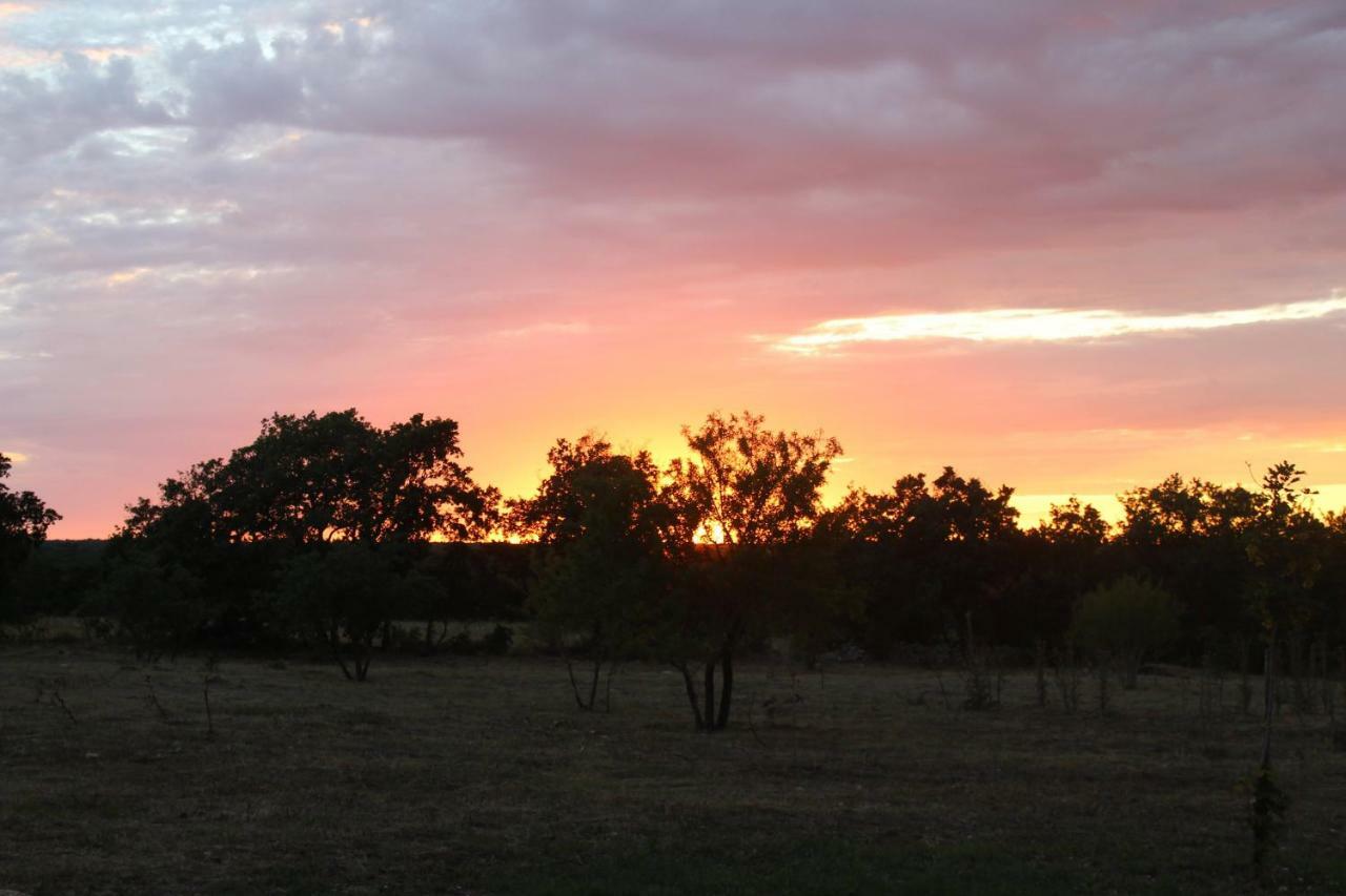 Tenuta Tedone Consolini Villa Ruvo di Puglia Luaran gambar