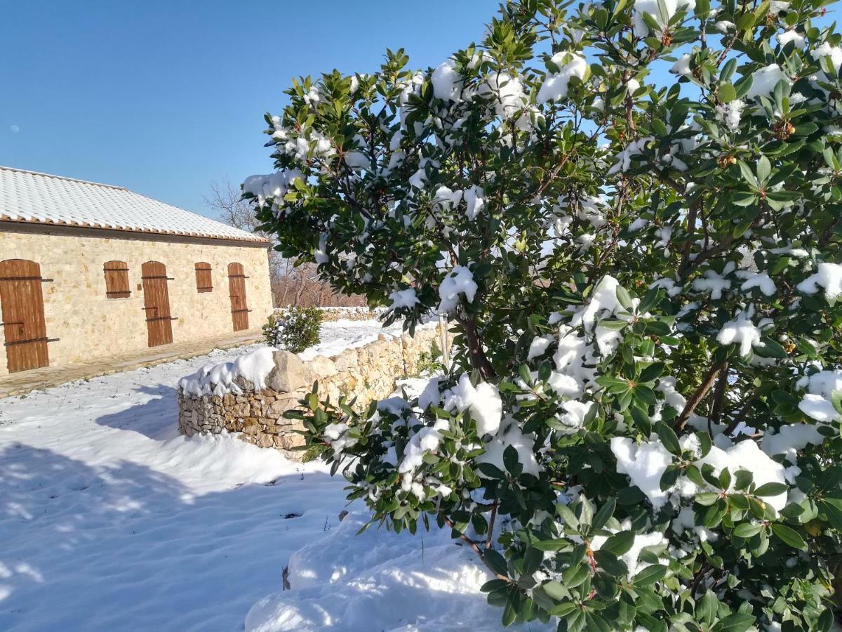 Tenuta Tedone Consolini Villa Ruvo di Puglia Luaran gambar