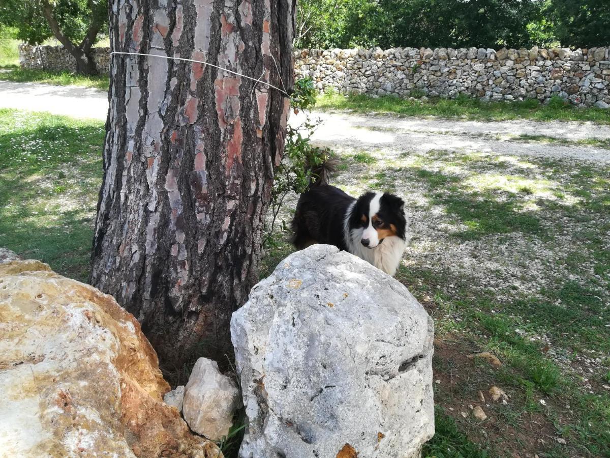 Tenuta Tedone Consolini Villa Ruvo di Puglia Luaran gambar